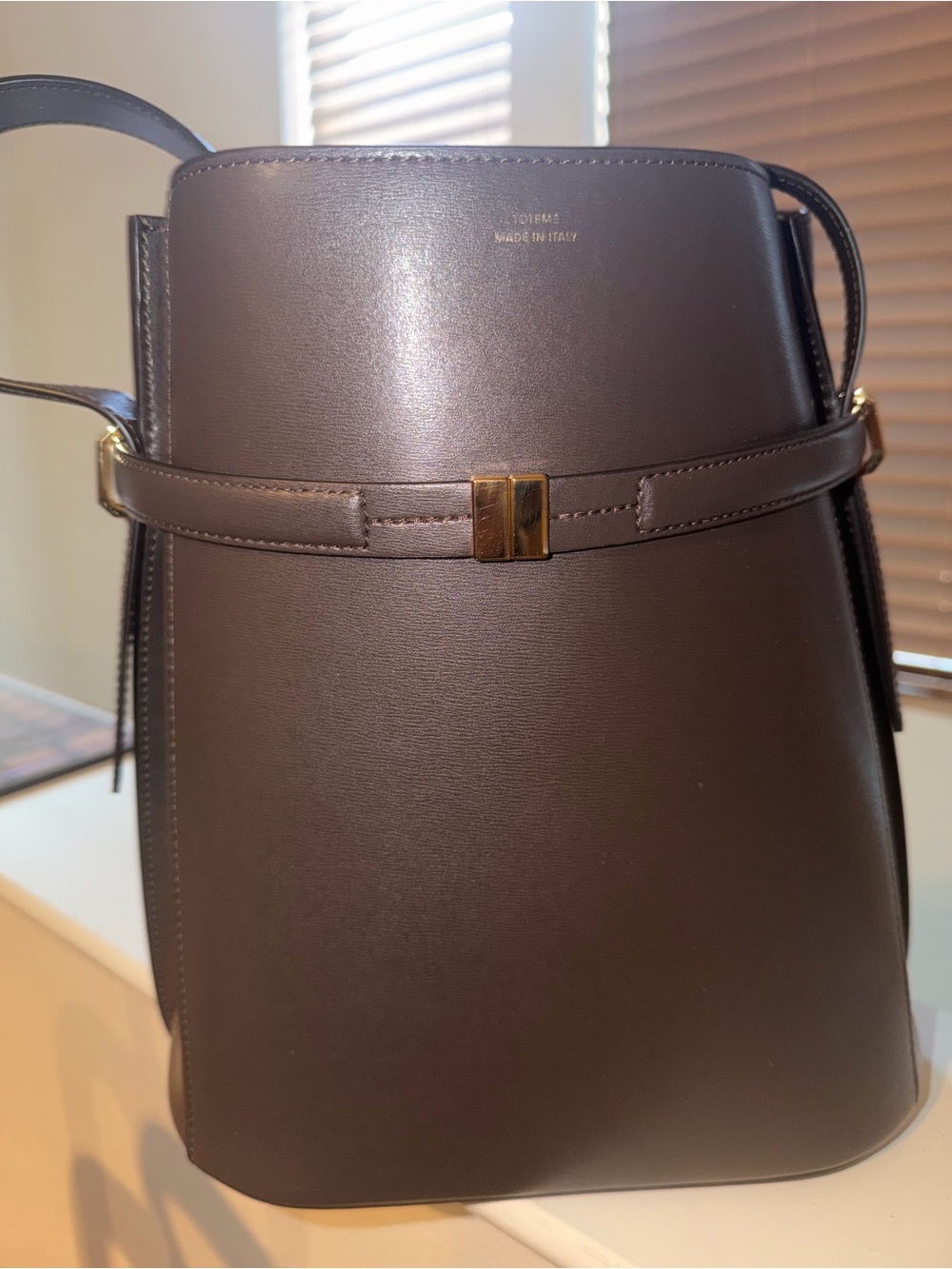 Toteme Dark Brown Leather Shoulder Bag with Gold Accent